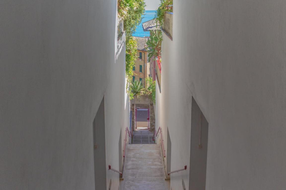 Apartment Casa Carlotta